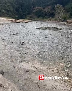 Sunset Bay State Park • Coos Bay, OR April 8th, 2023 - - - Video Courtesy: Deb Larson | Oregon's Bay Area