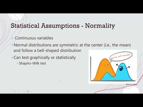 Fundamental Stats Overview