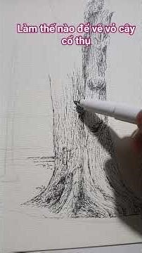 How to draw old tree bark