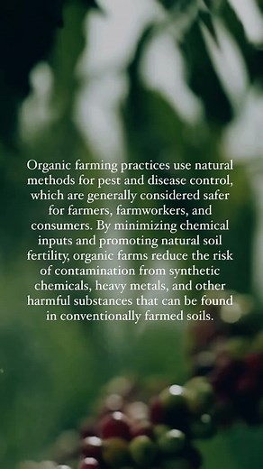 There is an abundance of evidence that coffee producers use a variety of pesticides and herbicides that are detrimental to the environment and the human health of farm workers and communities within the watershed and local ecosystem. We believe those chemicals do not add any health benefits for the consumer. Reviewing the available information on pesticides in coffee, there is enough uncertainty on this topic for us to care deeply about chemicals being used in the production of their coffee. The