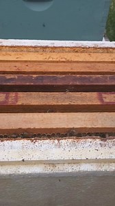 791K views · 7.5K reactions | ⚠️TRIGGER WARNING ⚠️ A Queen Dies A...