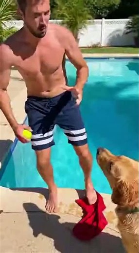 Dog Nudges Human Into Swimming Pool After Fake Throw