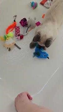 Maccabee's bathtub 🛀 game is part of our 🌄 morning routine 💙