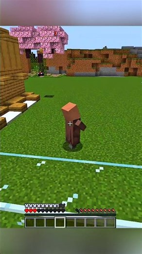 Best' tip #Minecraft #Short