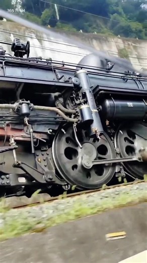 The Legendary C56 in Action! 🚂 #SteamEngine #shorts