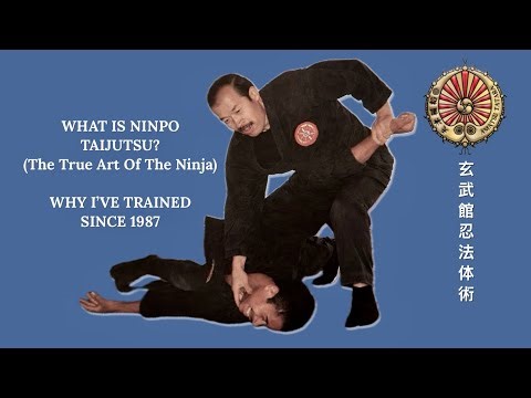 What Is Ninpo Taijutsu? (True Art of the Ninja) Why I've Trained Since 1987