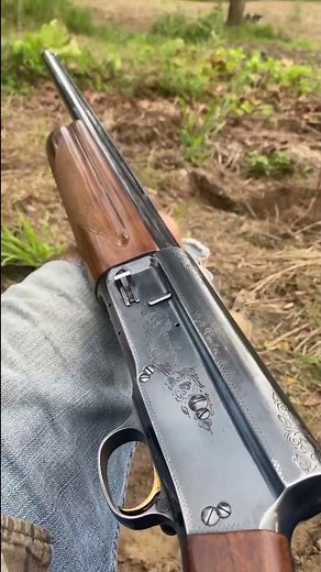 Browning A5 #browning #shotgun #12gauge