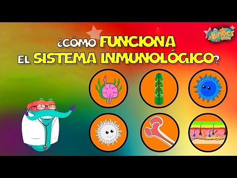 Cómo Funciona El Sistema Inmunológico? | Vídeos Educativos | Conocimientos Generales | #learn
