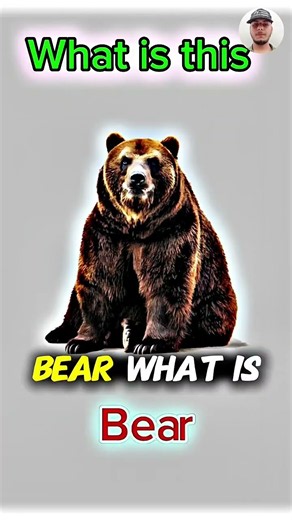 What Is This? 🤔 | Can You Guess the Word? | English Vocabulary Quiz