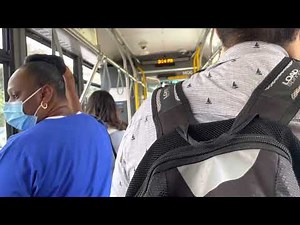 TTC Bus Driver vs. Passenger Argument