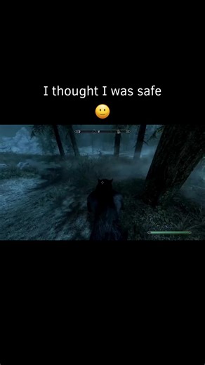 Explore the Hilarious Moments in Skyrim Memes