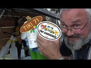 My Secret to Fast Growth on Plumeria, Palms, & Tropical Plants!🌴 🤙🏼 🌺