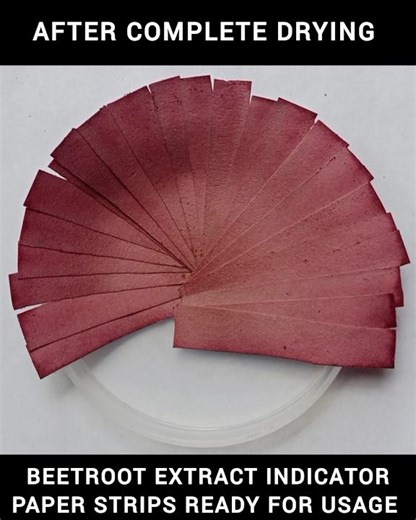 PREPARATION OF BEETROOT EXTRACT INDICATOR PAPER STRIPS (PROCEDURE 2)