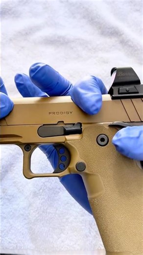 Springfield Prodigy Disassembly and Clean