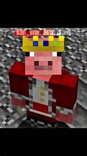 Best Minecraft Player 😈