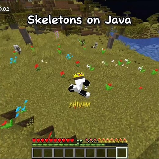 Skeletons: Java vs Bedrock☠️ #minecraft