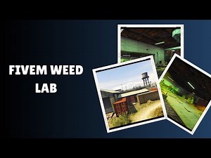 Transform Your FiveM Server with the Ultimate Weed Lab MLO!