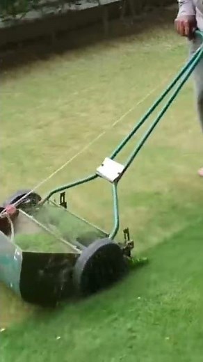 Manual reel mower with grass catcher used to mow lawn #shorts | Lawn Care and Gardening
