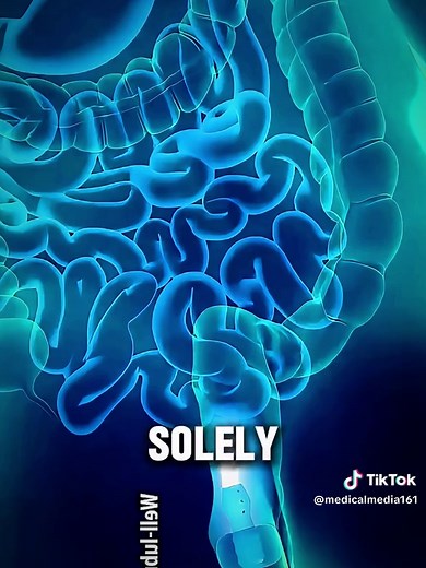 How a Barium Enema Actually Works Inside Your Body #bariumenema #digestivehealth #colontest #colonoscopy #medicalanimation