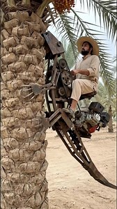 Lizard Machine Collecting Date Fruits - New Future Technology | Kids Brain Learning