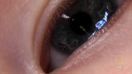 2.7K views · 47 reactions | National_Geographic_Inside the Living_Body | NUGA BEST | Facebook