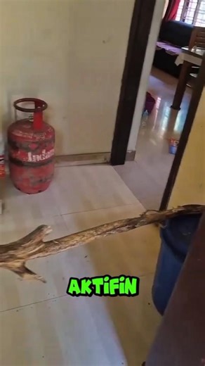 GAS LANGKA?! Emak Ini Langsung Aktifin Mode Survival! 😂🌲 #shorts