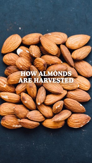 7.2K views · 51 reactions | Did you know that El Salvador is home to...