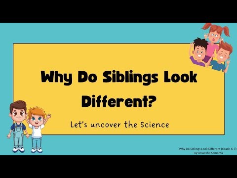 Why Do Siblings Look Different? | Genes, DNA, Family Traits Explained | Grade 6–7 Science Lesson