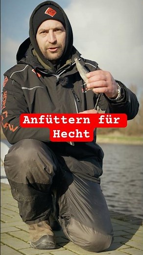 Anfüttern beim Hechtangeln - so geht’s! #hechtangeln #hecht #angeln #spinnfischen #raubfischangeln