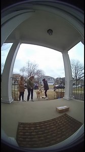 46K views · 275 reactions | Watch as a dog’s sudden trip startles the neighborhood! From yelling people to a cat’s quick escape and a falling package, experience the chaotic moment through grainy, fish-eye doorbell cam footage with echoey audio. | Tiny Tale Hub | Facebook
