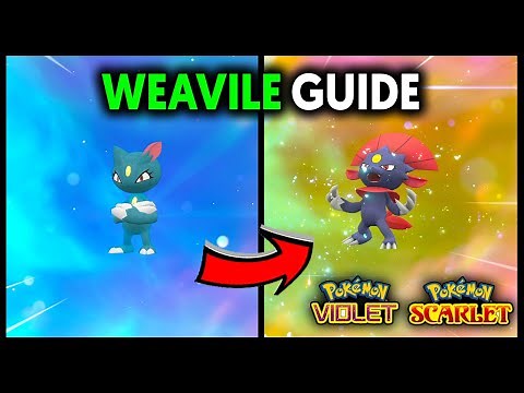 HOW TO EVOLVE SNEASEL INTO WEAVILE ON POKEMON SCARLET AND VIOLET