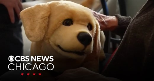 Robotic dog on display at CES