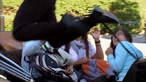 61K views · 967 reactions | Best of Elaborate Pranks Vol 7 #prank #funny #funnyvideos #funnypranks #prankvideo #prankster #comedy #funnymemes #lol #pranksters #youtube #viral #like #fun #prankinvasion #prankvideos #pranked #tiktok #love | Funny and Frumos | Facebook