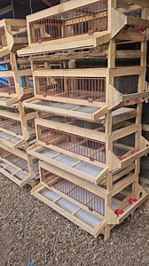 Cage Professionnelle pour Cailles Pondeuses (Capacité : 25 Cailles) Abreuvoir automatique : approvisionnement continu en eau. Mangeoire externe : accès facile à la nourriture. Système de récupération d'œufs : collecte simple et efficace. Système de récupération des déchets : hygiène optimisée et entretien rapide. Superposable jusqu'à 4 étages : gain de place assuré. 💰 Prix : 37 500 FCFA 📍 Bamako, Mali 🚚 Livraison possible partout au Mali 📞 Contactez-nous : 78 17 11 11 | Ferme Aminata Sarr - 