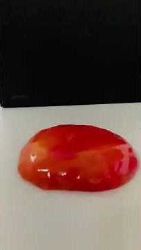The impact of dropped viscoelastic material bodies