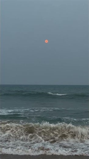 Beach vibes 🌊 #love #beachvibes #coastalbeauty #feel #funny #india #music #pondicherry #sunset