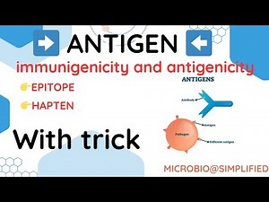 Antigen | Definition, Types & Examples | Immunology Made Simple by Surendra saran
