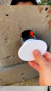 566K views · 1.8K reactions | Cover the hole perfectly | 机具 | Facebook