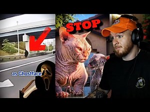 Videos So WEIRD You'll Be Up All NIGHT Watching Them!