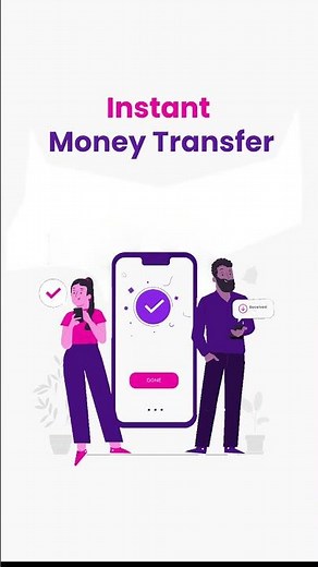 Domestic Money Transfer | DMT | RapiPay Fintech Pvt Ltd