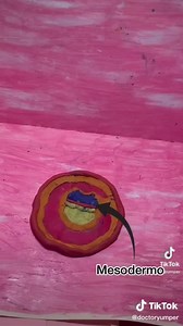 4.8M views · 174K reactions | Así es el comienzo de toda vida humana....