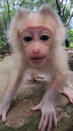 Amazing Gorgeous Baby Meta