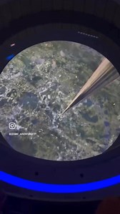 317K views · 2.3K reactions | The Science and Dream of Space...