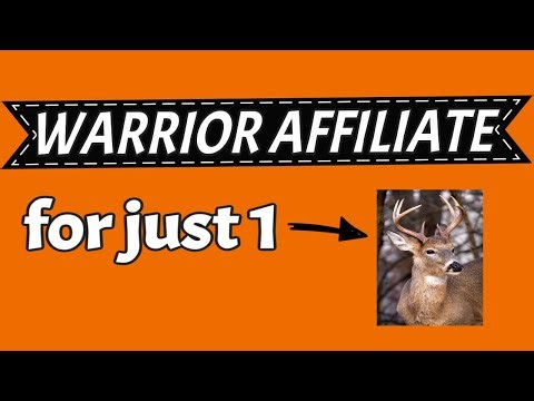 WARRIOR AFFILIATE REVIEW