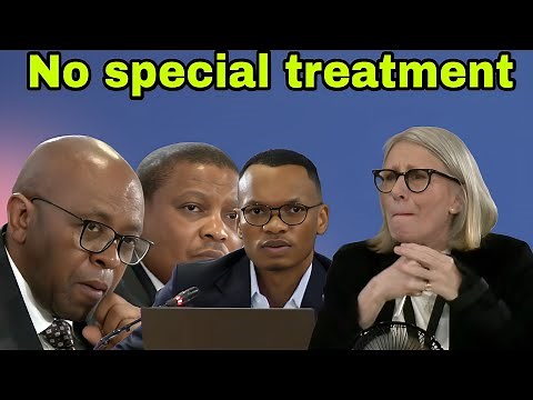 Madlanga Commissioners Grill Gareth Mnisi and his Lawyer Van den Heever