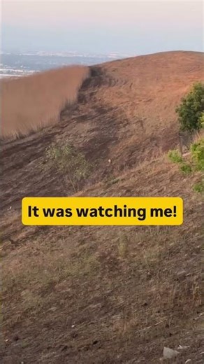 Would you freak out too?