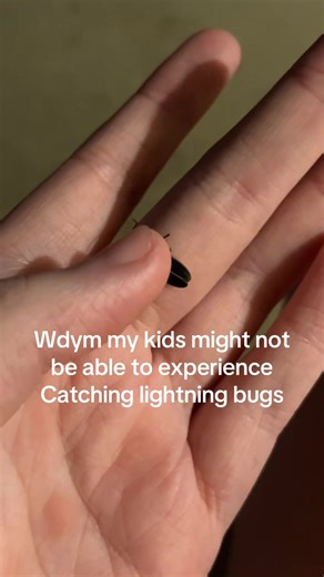 #fyp #fireflies | fireflies