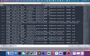 【ChiBiotool】KO号表(KEGG)批量转Pathway信息表