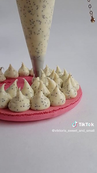 Delicious Big Macaron Varieties