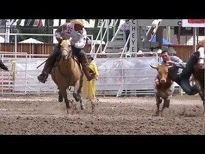 Cheyenne Frontier Days Rodeo: Steer Wrestling in the Mud